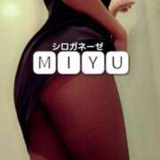 ヒメ日記 2026/04/21 16:18 投稿 有村みゆ シロガネーゼ