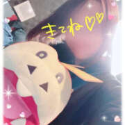 ヒメ日記 2025/03/28 05:45 投稿 いおり YESグループ　華女