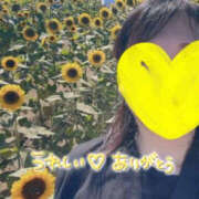 ヒメ日記 2025/08/09 20:11 投稿 いおり YESグループ　華女