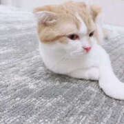 ヒメ日記 2025/08/16 22:07 投稿 いおり YESグループ　華女