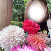 ヒメ日記 2025/09/30 19:14 投稿 いおり YESグループ　華女