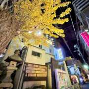 ヒメ日記 2024/12/15 20:01 投稿 如月めい ハプニング痴漢電車or全裸入室