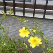 ヒメ日記 2023/12/13 11:53 投稿 夏 PLUS難波店