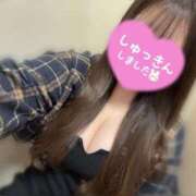 ヒメ日記 2025/03/15 19:03 投稿 るい『ガール』 ディオーネ