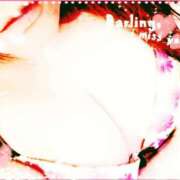 ヒメ日記 2025/04/04 14:59 投稿 ろりす 五反田サンキュー