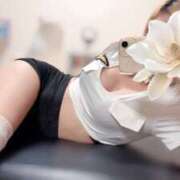 ヒメ日記 2025/06/08 10:06 投稿 せり Sweet～スウィート～