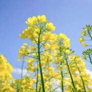 ヒメ日記 2025/02/12 01:16 投稿 みか Sweet～スウィート～