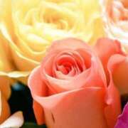 ヒメ日記 2025/02/16 02:16 投稿 みか Sweet～スウィート～