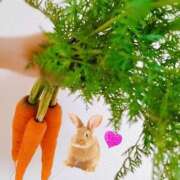 ヒメ日記 2025/06/17 20:26 投稿 みか Sweet～スウィート～