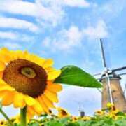 ヒメ日記 2025/08/22 10:37 投稿 みか Sweet～スウィート～