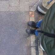 ヒメ日記 2025/03/14 17:47 投稿 ともみ　新人祭り対象 LIPS札幌