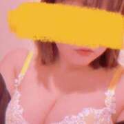 ヒメ日記 2025/11/11 15:17 投稿 ともみ　新人祭り対象 LIPS札幌