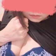 ヒメ日記 2025/11/30 18:07 投稿 ともみ　新人祭り対象 LIPS札幌