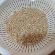 ヒメ日記 2025/02/26 19:37 投稿 りん　新人祭り対象 LIPS札幌