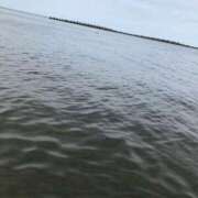 ヒメ日記 2025/08/15 18:07 投稿 せな　新人祭り対象 LIPS札幌