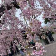 ヒメ日記 2025/05/11 12:37 投稿 あやか Lips Plus（リップスプラス）