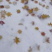 ヒメ日記 2025/12/05 07:02 投稿 あやか Lips Plus（リップスプラス）