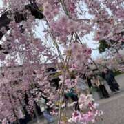 ヒメ日記 2026/02/27 13:27 投稿 あやか Lips Plus（リップスプラス）