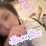 ヒメ日記 2024/12/12 18:42 投稿 すず Lips Plus（リップスプラス）