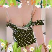 ヒメ日記 2025/04/03 17:17 投稿 まどか ミセスLIPS