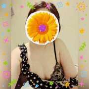 ヒメ日記 2025/06/12 18:02 投稿 まどか ミセスLIPS