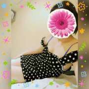 ヒメ日記 2025/06/29 17:27 投稿 まどか ミセスLIPS