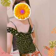 ヒメ日記 2025/07/12 17:12 投稿 まどか ミセスLIPS