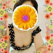 ヒメ日記 2025/08/09 18:27 投稿 まどか ミセスLIPS