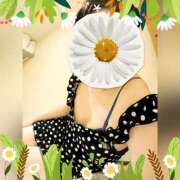 ヒメ日記 2025/09/28 19:22 投稿 まどか ミセスLIPS