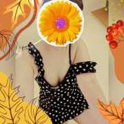 ヒメ日記 2025/09/28 20:57 投稿 まどか ミセスLIPS