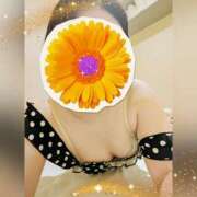 ヒメ日記 2025/10/18 18:27 投稿 まどか ミセスLIPS