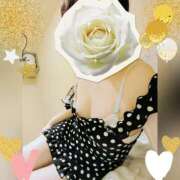 ヒメ日記 2025/10/22 19:32 投稿 まどか ミセスLIPS