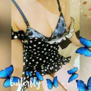 ヒメ日記 2025/10/26 22:02 投稿 まどか ミセスLIPS