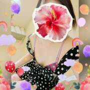 ヒメ日記 2025/11/12 17:17 投稿 まどか ミセスLIPS