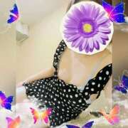 ヒメ日記 2025/12/26 19:12 投稿 まどか ミセスLIPS