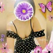 ヒメ日記 2025/12/29 19:27 投稿 まどか ミセスLIPS