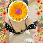 ヒメ日記 2026/01/09 17:27 投稿 まどか ミセスLIPS