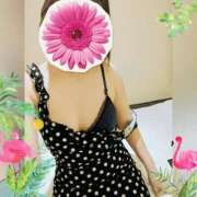 ヒメ日記 2026/01/17 17:17 投稿 まどか ミセスLIPS