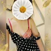 ヒメ日記 2026/02/22 20:42 投稿 まどか ミセスLIPS