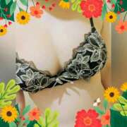 ヒメ日記 2026/03/03 20:47 投稿 まどか ミセスLIPS