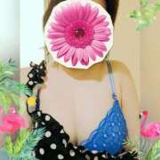 ヒメ日記 2026/03/12 19:02 投稿 まどか ミセスLIPS