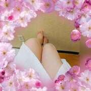 ヒメ日記 2026/03/30 20:02 投稿 まどか ミセスLIPS