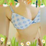 ヒメ日記 2026/03/30 22:42 投稿 まどか ミセスLIPS