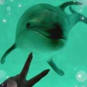 ヒメ日記 2024/12/25 22:22 投稿 まゆ ミセスLIPS