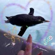 ヒメ日記 2025/01/05 22:07 投稿 まゆ ミセスLIPS