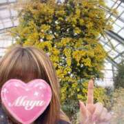 ヒメ日記 2025/03/19 21:52 投稿 まゆ ミセスLIPS