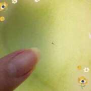 ヒメ日記 2025/04/26 17:12 投稿 まゆ ミセスLIPS