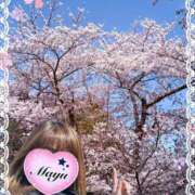 ヒメ日記 2025/04/30 21:42 投稿 まゆ ミセスLIPS