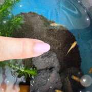 ヒメ日記 2025/05/01 17:42 投稿 まゆ ミセスLIPS