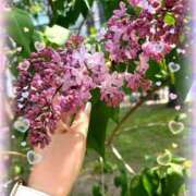 ヒメ日記 2025/05/14 20:57 投稿 まゆ ミセスLIPS